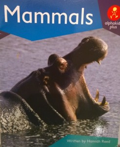 Mammals